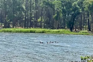 Lot 43 Oak River, Frankston, TX 75763 - Photo 15