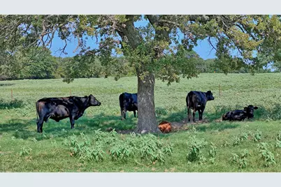 8752 Fm 1749, Sunset, TX 76270 - Photo 11