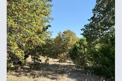 2753 Big Tree Road, Montague, TX 76251 - Photo 3