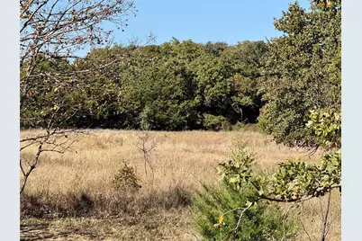 2753 Big Tree Road, Montague, TX 76251 - Photo 31