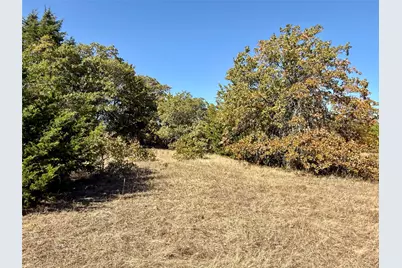 2753 Big Tree Road, Montague, TX 76251 - Photo 17