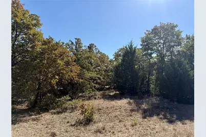 2753 Big Tree Road, Montague, TX 76251 - Photo 19