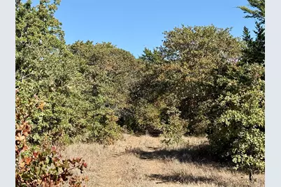 2753 Big Tree Road, Montague, TX 76251 - Photo 9