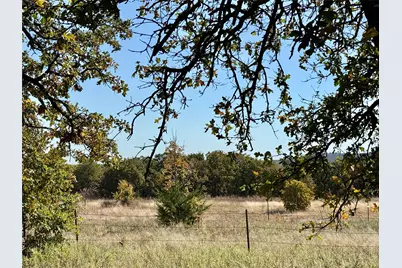 2753 Big Tree Road, Montague, TX 76251 - Photo 13