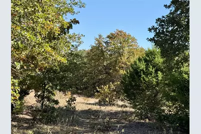 2753 Big Tree Road, Montague, TX 76251 - Photo 11