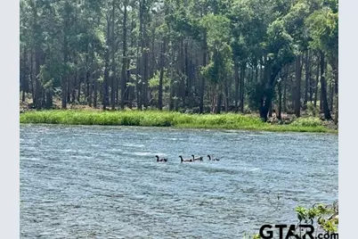 Lot 111 Oak River, Frankston, TX 75763 - Photo 5