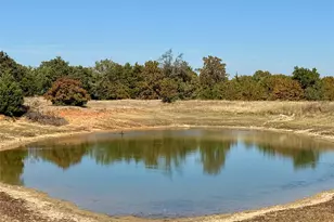 Tbd Big Tree Rd, Montague, TX 76251 - Photo 1