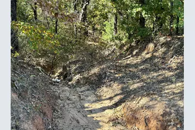 Tbd Big Tree Road, Montague, TX 76251 - Photo 15