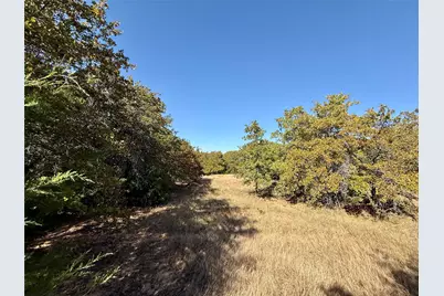 Tbd Big Tree Road, Montague, TX 76251 - Photo 19