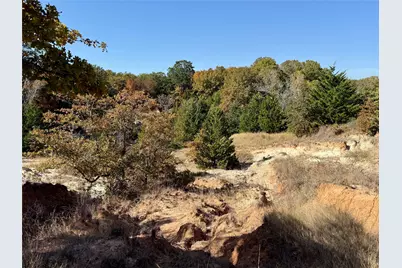 Tbd Big Tree Road, Montague, TX 76251 - Photo 27