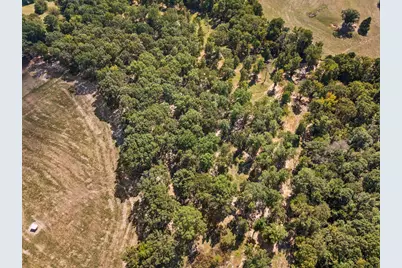 Tbd Fm 593, Gilmer, TX 75644 - Photo 9