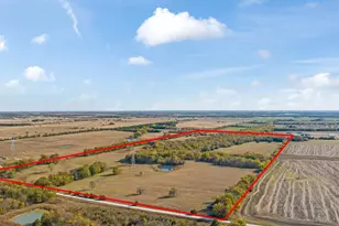 000 Cr 36010, Honey Grove, TX 75446 - Photo 1