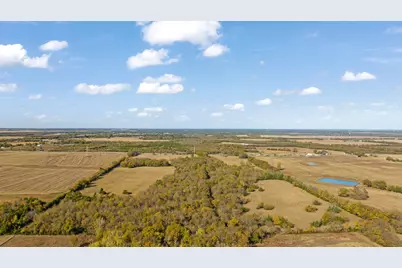 000 Cr 36010, Honey Grove, TX 75446 - Photo 9