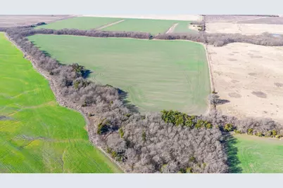 000 Cr 3140, Pecan Gap, TX 75469 - Photo 33