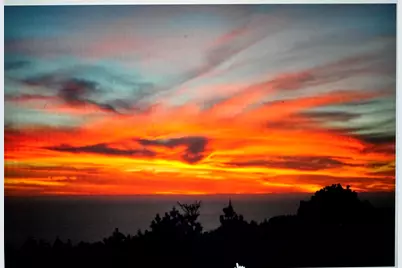 12826 Carpenter Lane, Rhome, TX 76078 - Photo 29