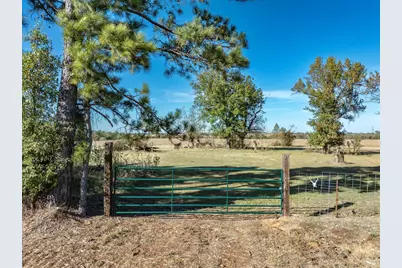 00 Fm 1651, Canton, TX 75103 - Photo 1