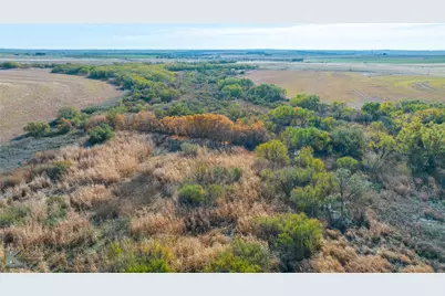 Tbd Fm 57, 160 Acres, Roby, TX 79543 - Photo 9