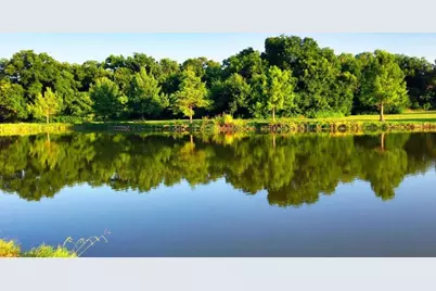 4330 Forest Point Drive, Garland, TX 75043 - Photo 19