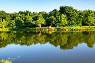 4330 Forest Point Dr, Garland, TX 75043 - Photo 19