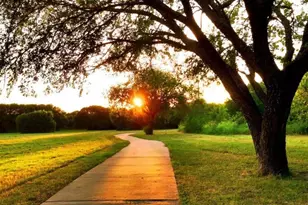 4330 Forest Point Dr, Garland, TX 75043 - Photo 21