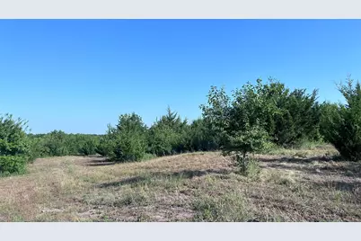 Tract 2, Key Road, Sherman, TX 75090 - Photo 5