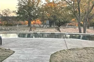 6710 FM 89, Tuscola, TX 79562 - Photo 29