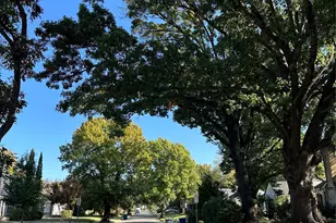 5114 Alcott St, Dallas, TX 75206 - Photo 23