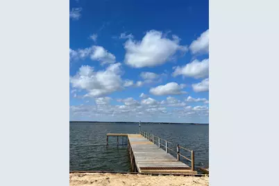 119 Daisy Circle, Gun Barrel City, TX 75156 - Photo 29