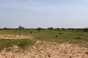 2315 Cr 472, Rochelle, TX 76872 - Photo 19