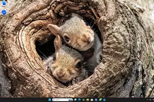 600 Hcr 1248, Whitney, TX 76692 - Photo 23