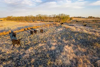 Lot Wp002 Cr 218, Gainesville, TX 76240 - Photo 13