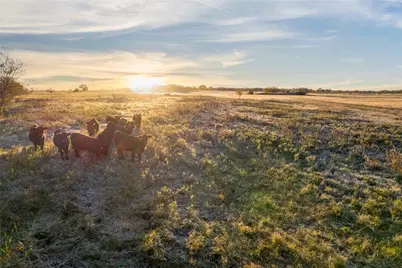 1928 County Road 218, Gainesville, TX 76240 - Photo 15