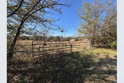 25Ac State Hwy 56, Bells, TX 75414 - Photo 3