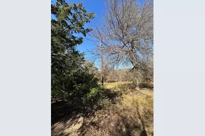25Ac State Hwy 56, Bells, TX 75414 - Photo 7