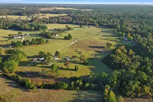 509 An County Road 190, Elkhart, TX 75839 - Photo 31