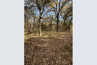Tbd Fm 1655, Chico, TX 76431 - Photo 27