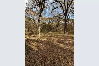 Tbd Fm 1655, Chico, TX 76431 - Photo 17