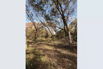 Tbd Fm 1655, Chico, TX 76431 - Photo 35