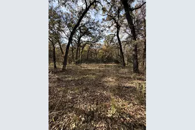 Tbd Fm 1655, Chico, TX 76431 - Photo 23