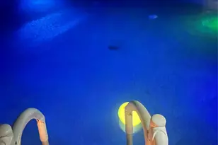 2620 N State Hwy 37, Quitman, TX 75783 - Photo 3