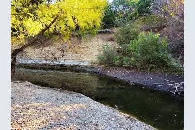 Tbd 200 Acres Fm-2481 Road #2481, Stephenville, TX 76401 - Photo 23