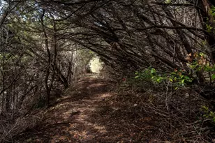 148 County Rd 1740, Clifton, TX 76634 - Photo 17