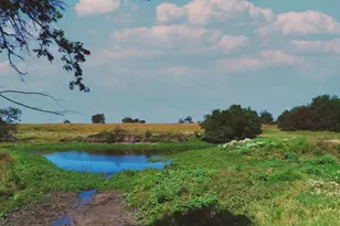 0000 Interstate 35, Milford, TX 76670 - Photo 15