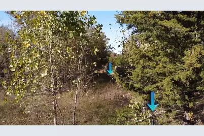 1439 Cedar Mills Road, Gordonville, TX 76245 - Photo 5