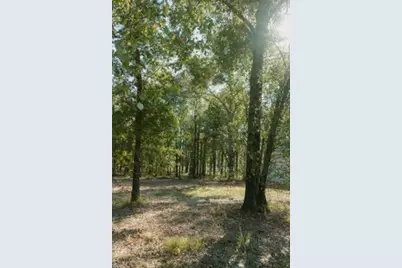 Lot 15 Private Road 5948, Yantis, TX 75765 - Photo 11