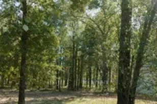 Lot 15 Private Road 5948, Yantis, TX 75765 - Photo 11