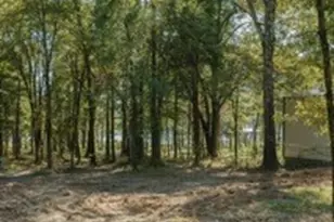 Lot 15 Private Road 5948, Yantis, TX 75497 - Photo 13