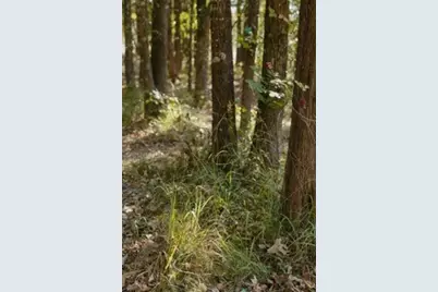 Lot 15 Private Road 5948, Yantis, TX 75765 - Photo 9