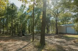 Lot 15 Private Road 5948, Yantis, TX 75497 - Photo 5