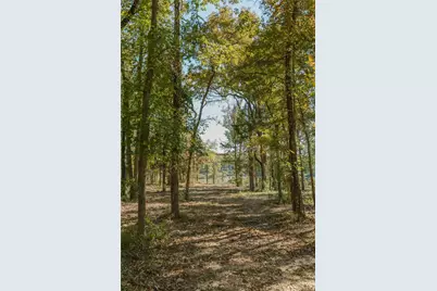 Lot 15 Private Road 5948, Yantis, TX 75497 - Photo 9